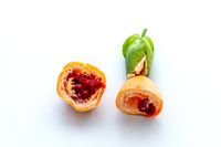 P. caerulea - Ge&ouml;ffnete Frucht